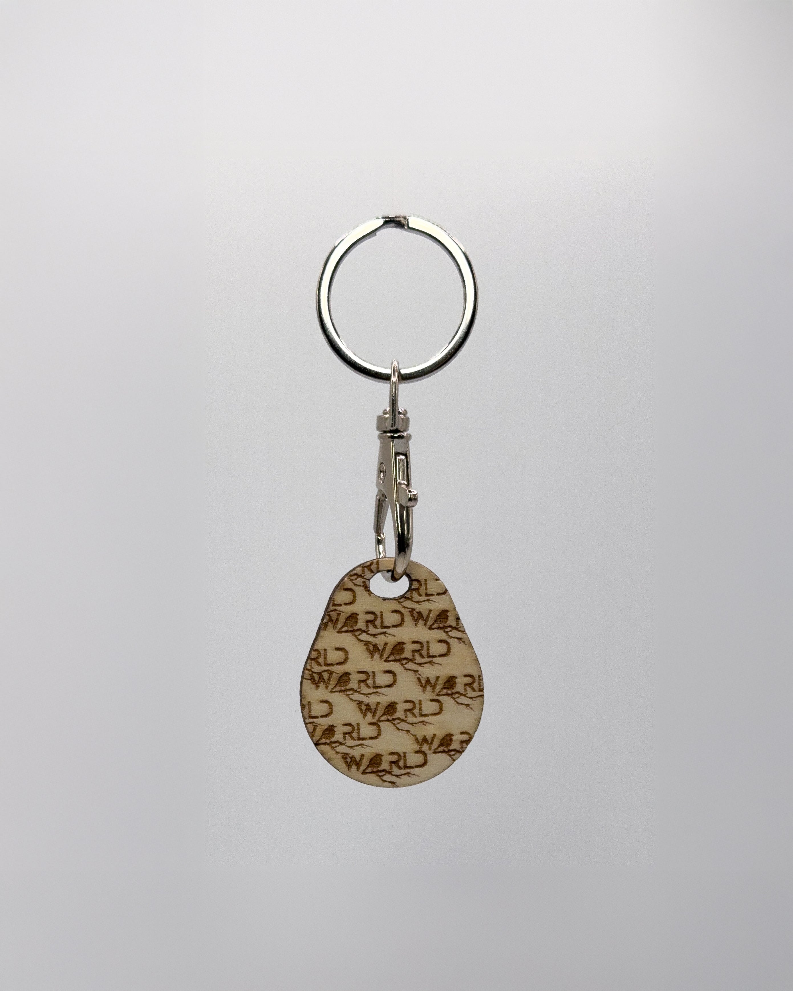 Schlüsselanhänger-NFC (Dein Logo)